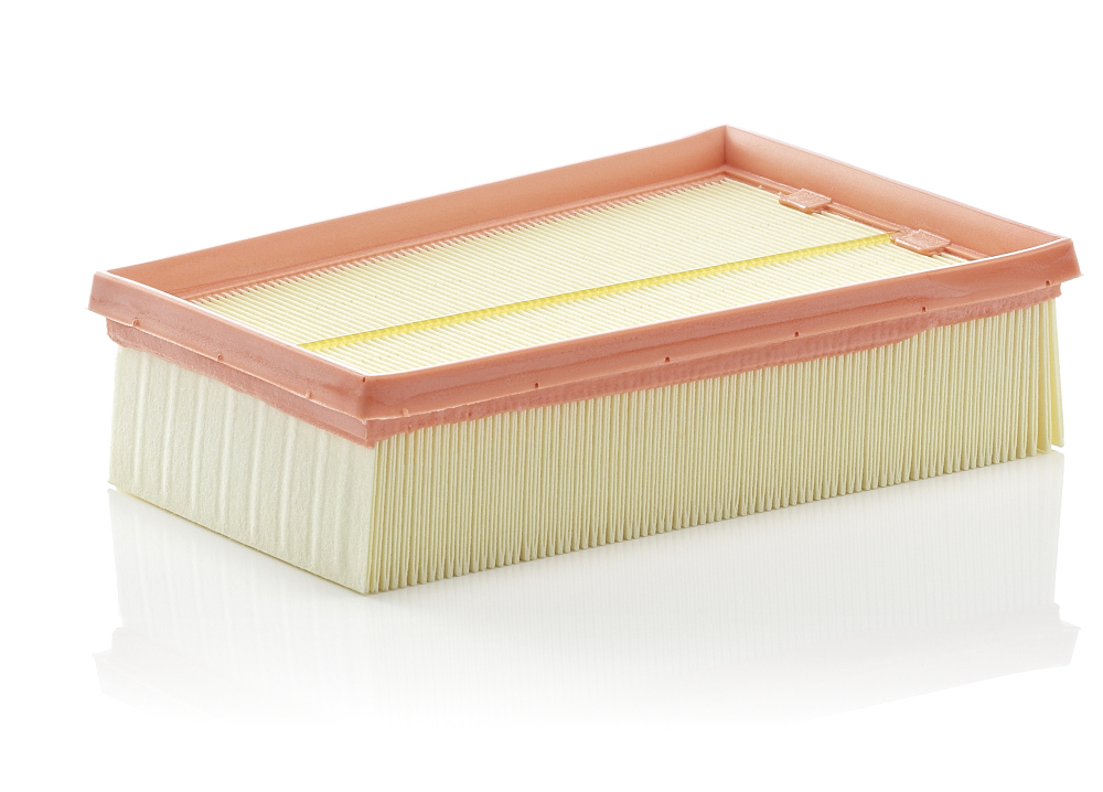 MANN-FILTER C 2433/2 Luftfilter