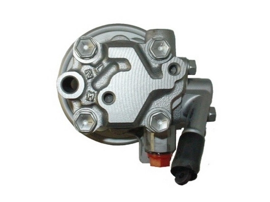 SPIDAN 53609 Hydraulikpumpe, Lenkung
