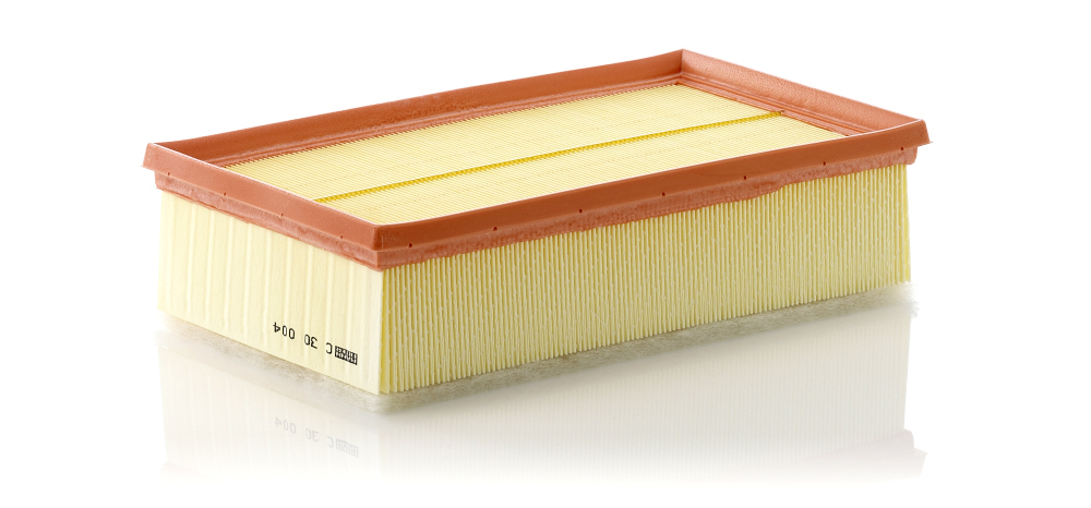 MANN-FILTER C 30 004 Luftfilter