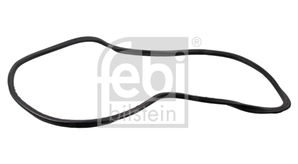 FEBI BILSTEIN 08889 Conta, arka cam